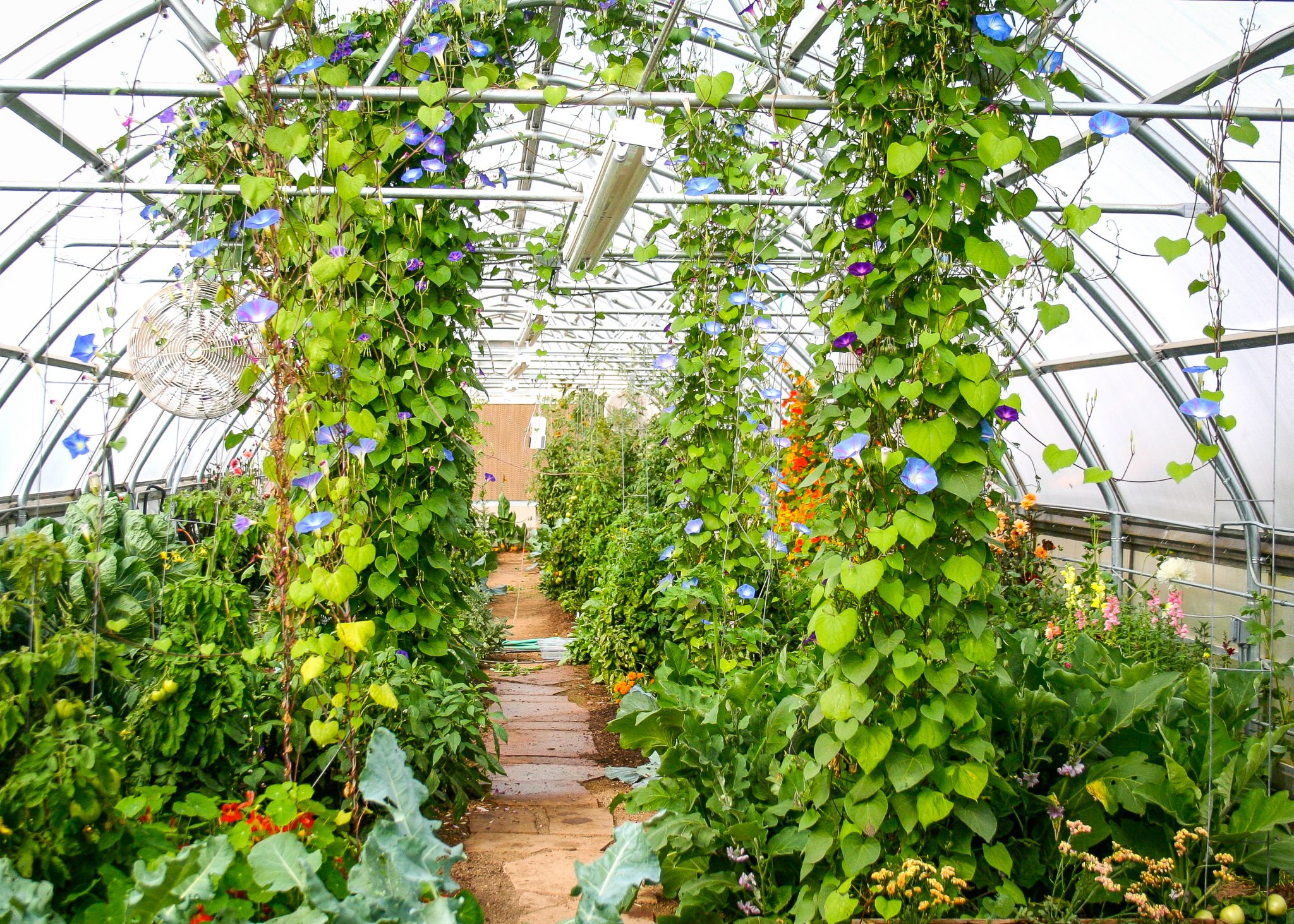 Blackstone Ranch NEWS Upscale Living Magazine