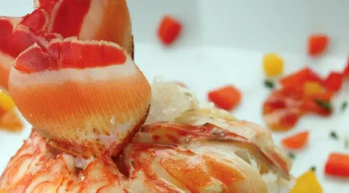 Caribbean Lobster Cakes with Coconut and Curry Recipe Caribbean Lobster Cakes with Coconut and Curry Recipe