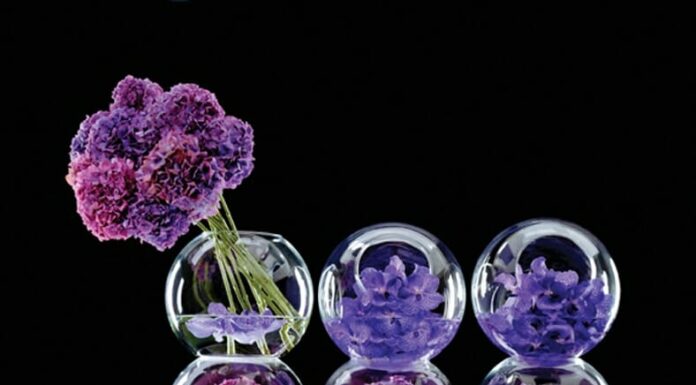 Jeff Leatham – Floral Artist