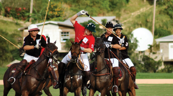 Polo, The Game of King