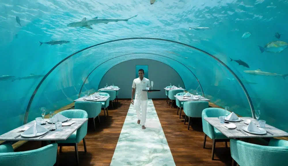 Conrad-Maldives-Rangali-Island_Ithaa Undersea Restaurant, a truly dining experience Conrad-Maldives-Rangali-Island_Ithaa Undersea Restaurant, a truly dining experience