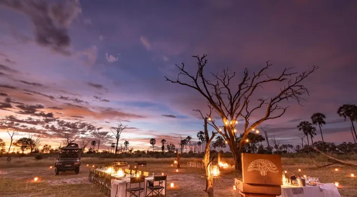 Gomoti Plains Camp in Gomoti Plains, Botswana machaba-safaris-web-botswana-gomoti-camp-gallery-sundowners