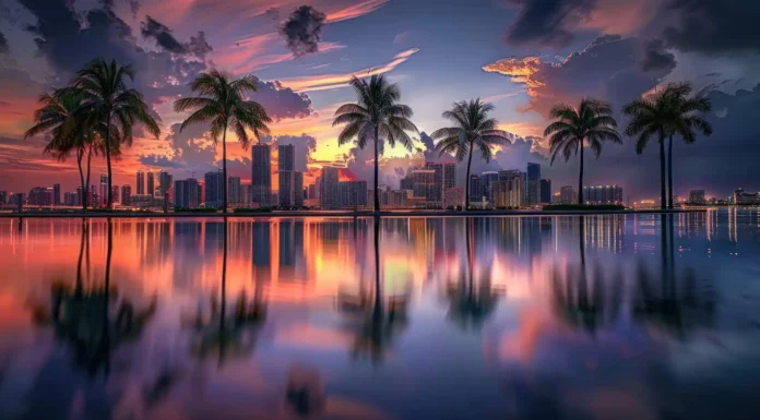 Soon to Be Floridians: What’s in Store? Beautiful view of a Floridian city. photo vecteezy-medium