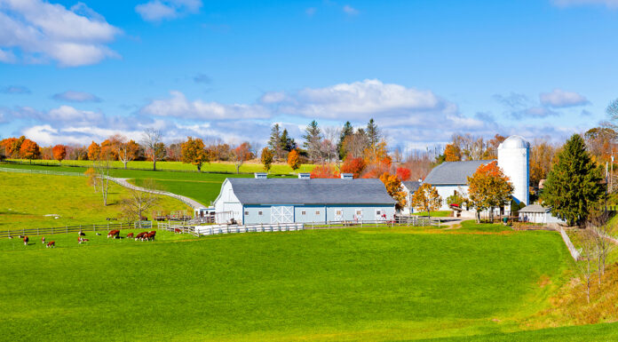 What to Look for When Buying a Luxury Farm Property Luxury Farm House Purchase. Photo via Adobe Free Stock Images