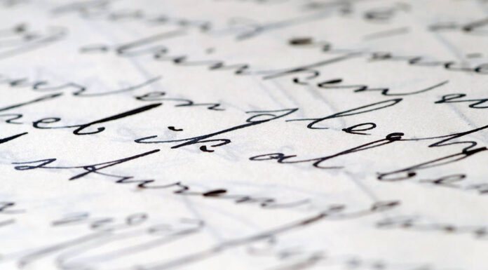 Important Factors to Consider Before You Order an Essay Important Factors to Consider Before You Order an Essay