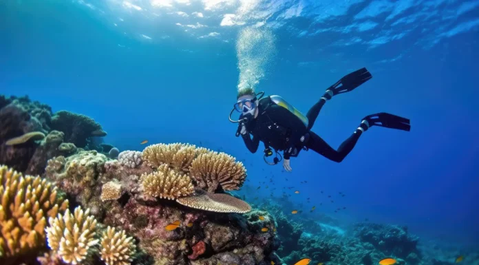 Best Scuba Diving Places to Visit A diver visiting one of the best places for scuba diving. Photo via vecteezy-medium