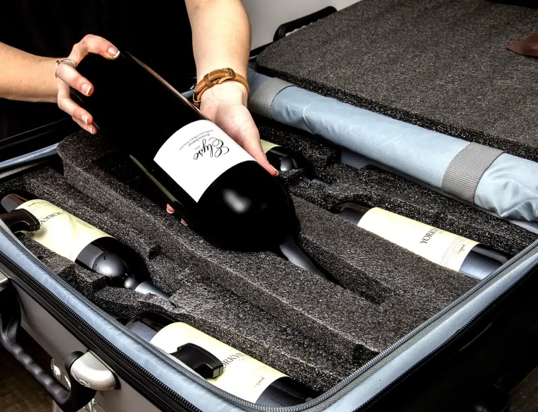 VinGardeValise wine suitcase VinGardeValise wine suitcase