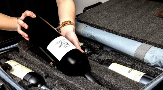 The Best Way to Travel with Wine VinGardeValise wine suitcase