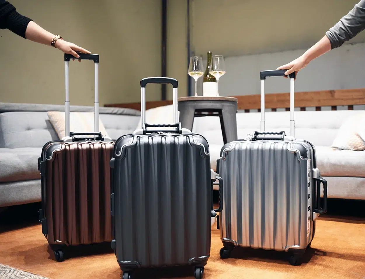 Wine Suitecase, VinGardeValise Wine Suitecase, VinGardeValise