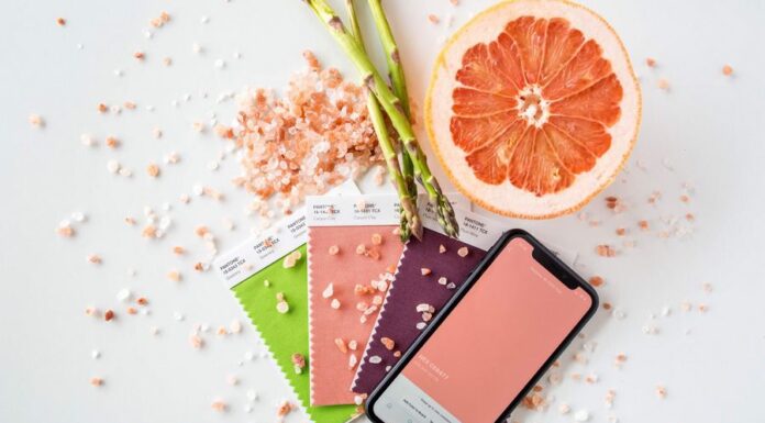 The New Vishion App Is Changing the Game for Interior Designers vishion