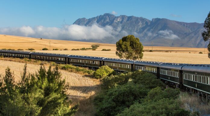 The Most Extraordinary Train Journeys Around the World South-Africa-Partner-Property-Rovos-Rail-07
