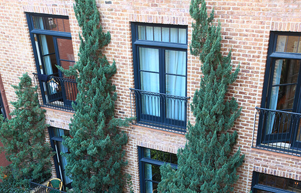 The Greenwich Hotel, an Upscale Accommodations in Lower Manhattan Courtyard Balcony View at The Courtyard Balcony Hotel