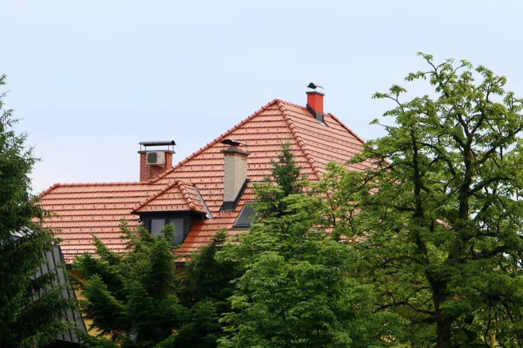 Most common roof type. Vecteezy-medium Most common roof type. Vecteezy-medium