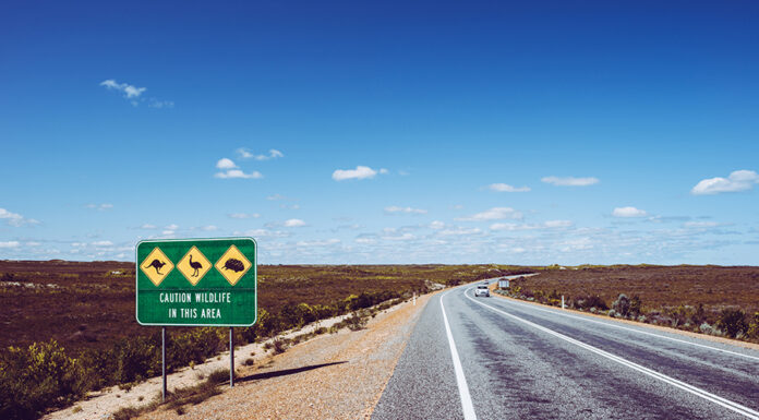 Driving Through Australia: How To Get The Full Road Trip Experience Straight road and Traffic sign in Australia