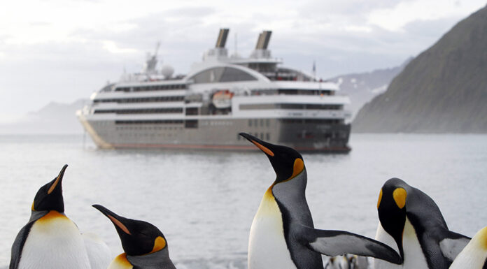 Cruising Antarctica: Five Reasons to Cruise the Pristine, Serene “White Continent” with PONANT Antarctica Cruise ©Studio PONANT Nathalie Michel