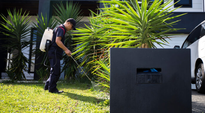 Must-Have Pest Solution Items for Your Home Pest Control Worker Spraying Pesticide