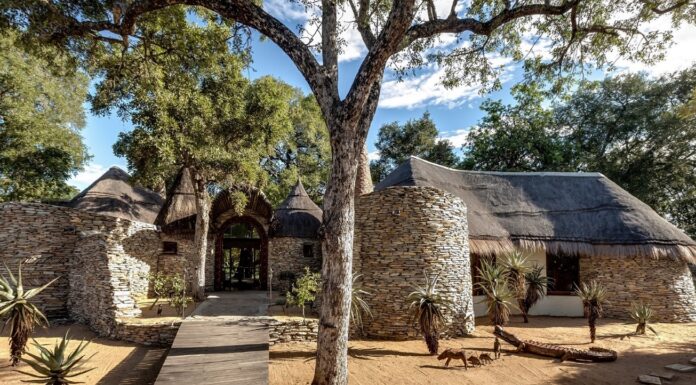 Tintswalo Safari Lodge, Star of the Manyeleti Tintswalo Safari Lodge