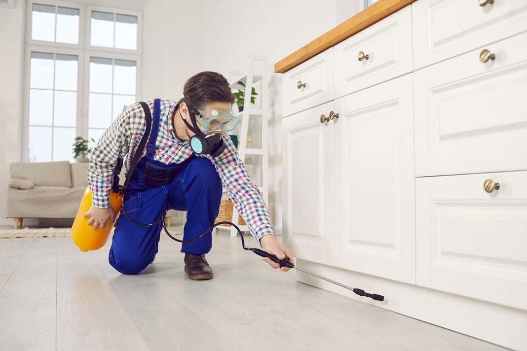 Pest Control for your home. Photo source Adobe Stock free image