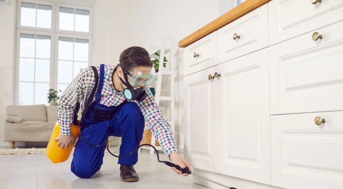 Luxury Starts With Simple Steps to Pest Control Pest Control for your home. Photo source Adobe Stock free image