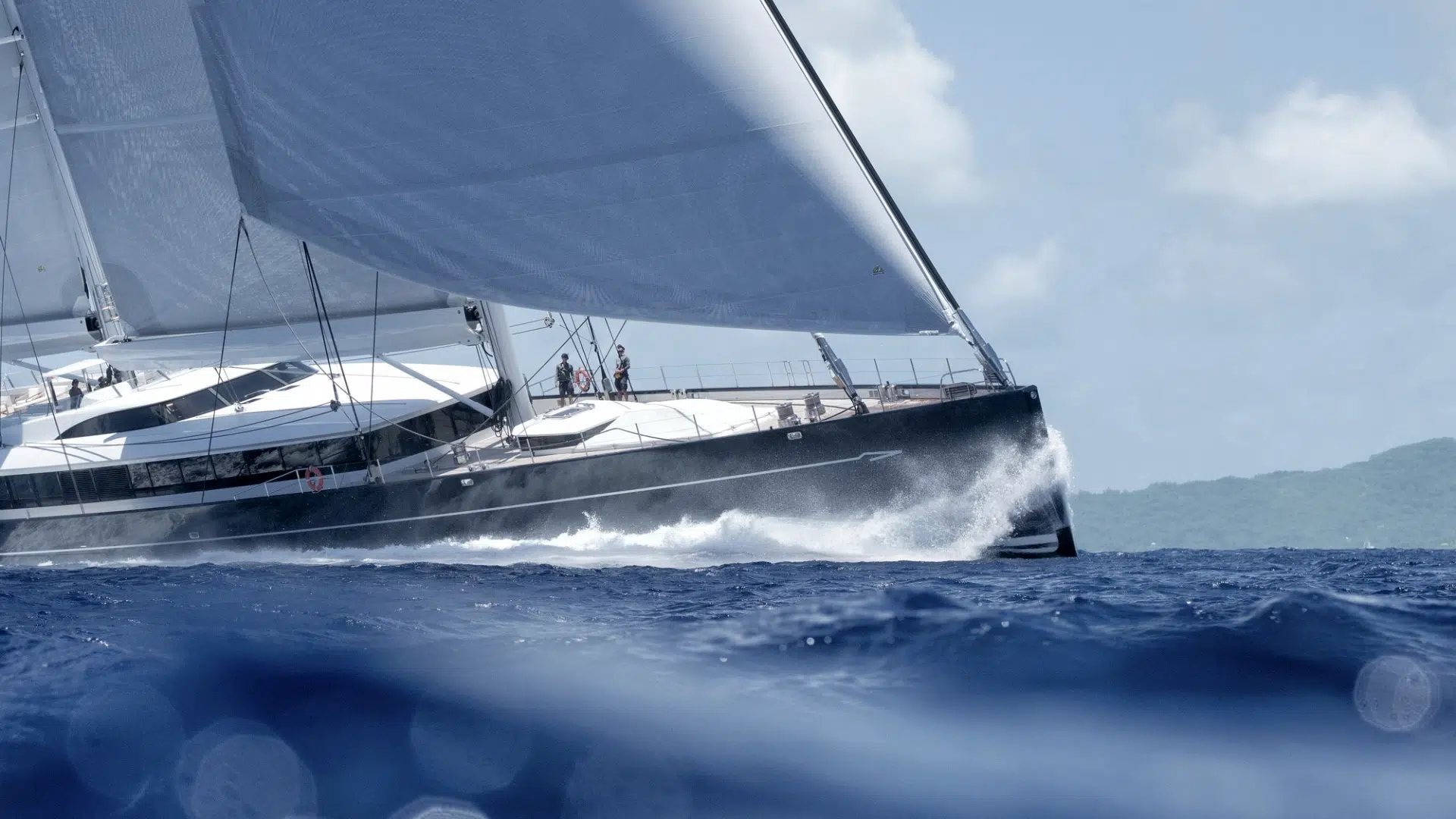 Sea Eagle II. Image by Tim McKenna Sea Eagle II. Image by Tim McKenna