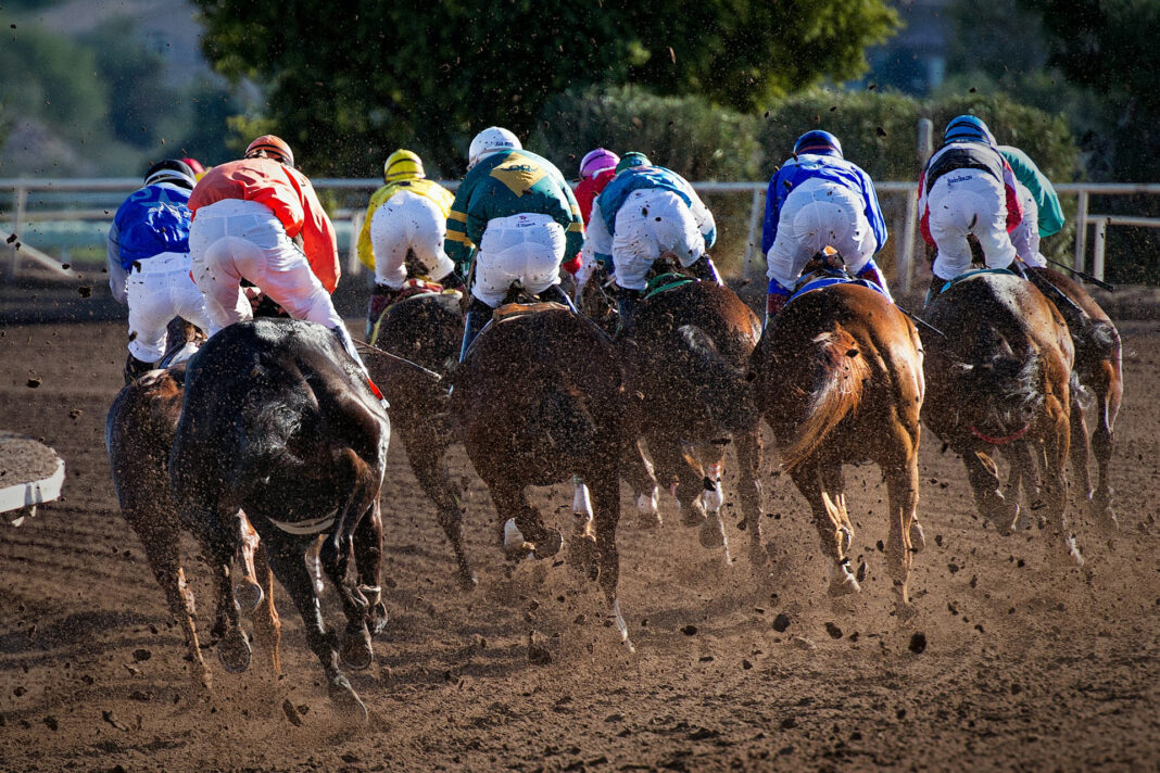 Horse Racing. Photo by Gene Devine via unsplash