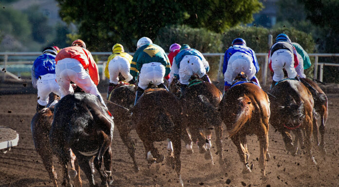 Favorite Sports of the Rich and Famous Horse Racing. Photo by Gene Devine via unsplash