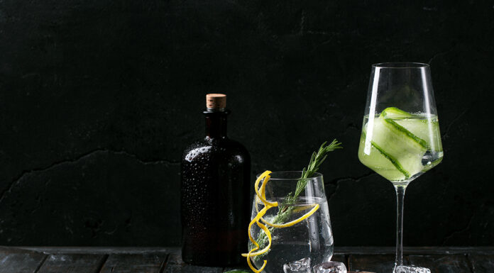 The 10 Best Gin Brands of 2020 That You Must Try Gin and Tonic drink