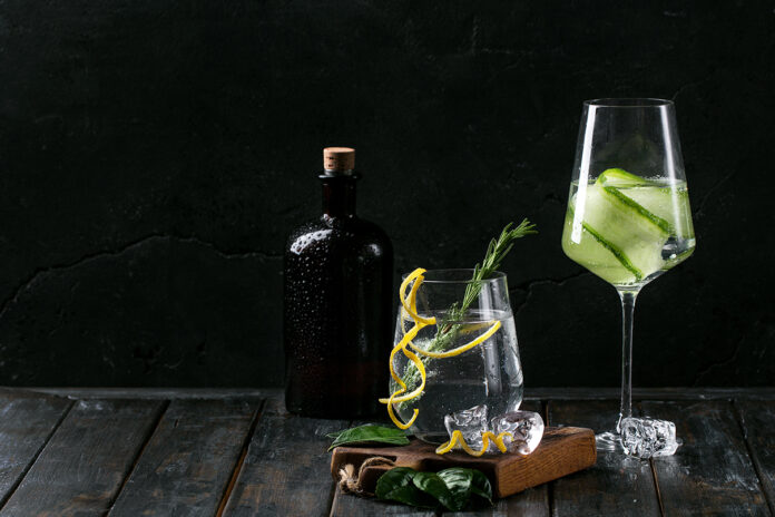 Gin and Tonic drink