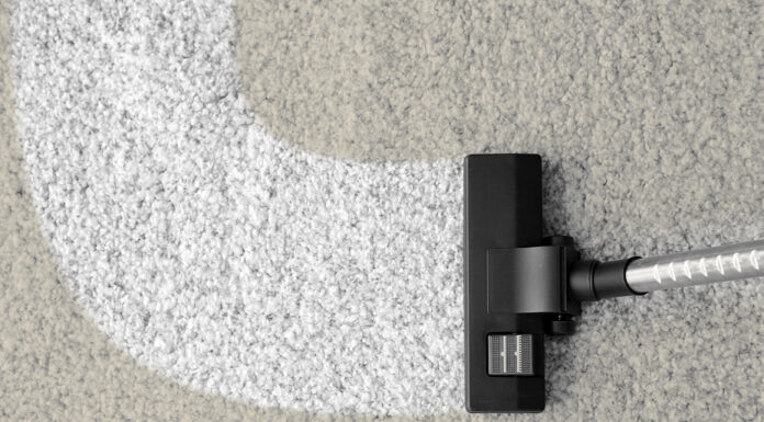 5 Top Techniques That Guarantee A Clean Carpet Clean carpet using a steam carpet cleaner. Photo by Africa Studio via Adobe Free Stock IMages