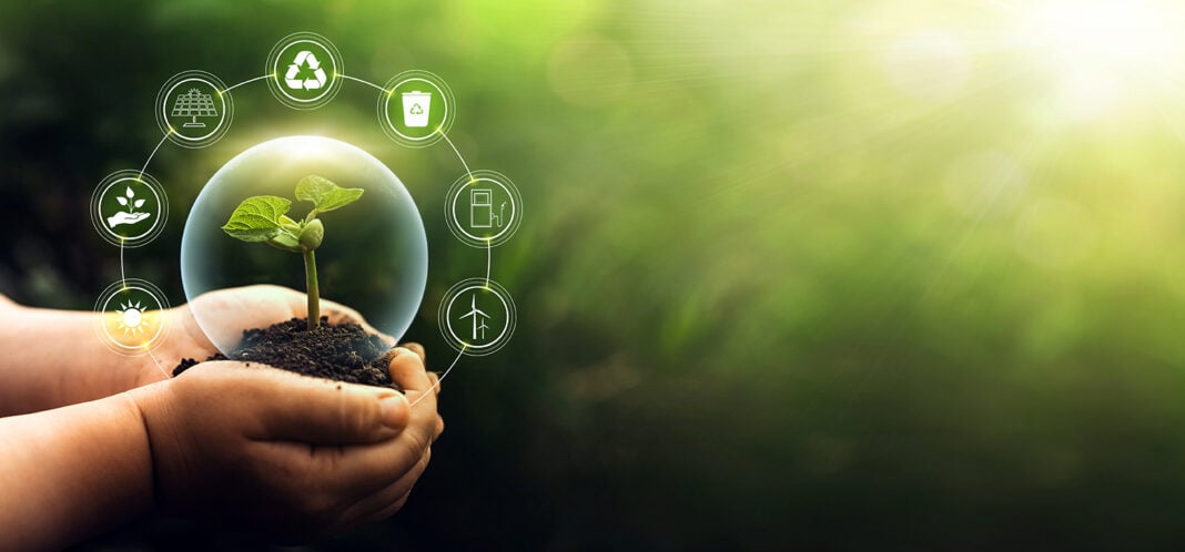 Sources for renewable, sustainable development. Environment and