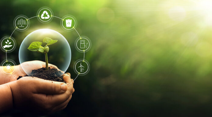7 Simple Ways to Show Your Love for the Environment Sources for renewable, sustainable development. Environment and