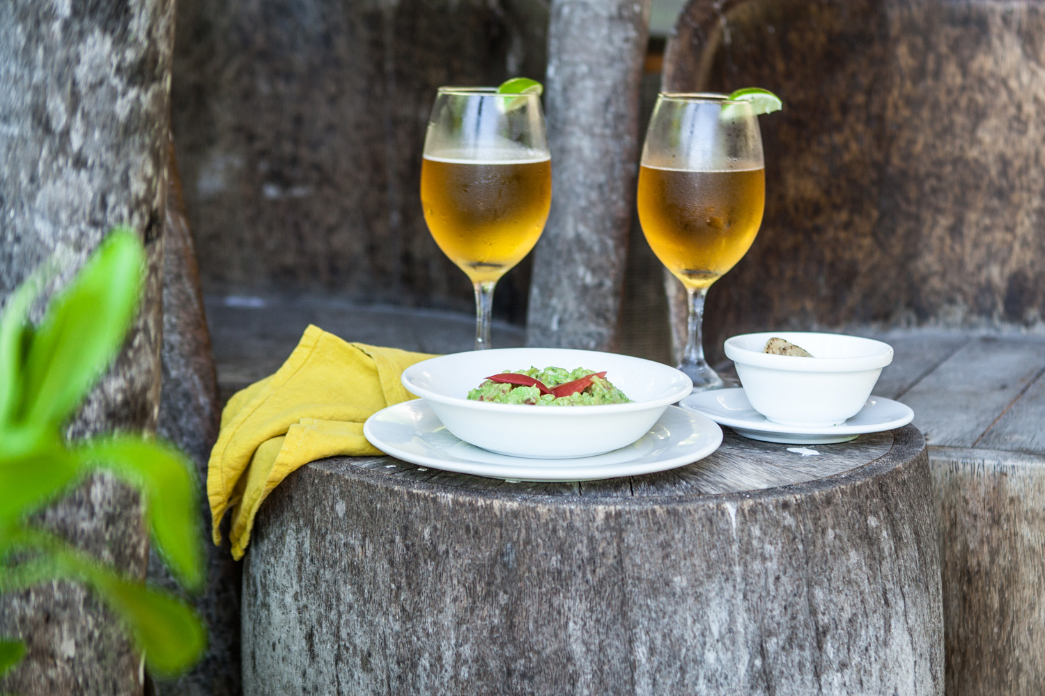 refreshment at Jashita Hotel Tulum refreshment at Jashita Hotel Tulum