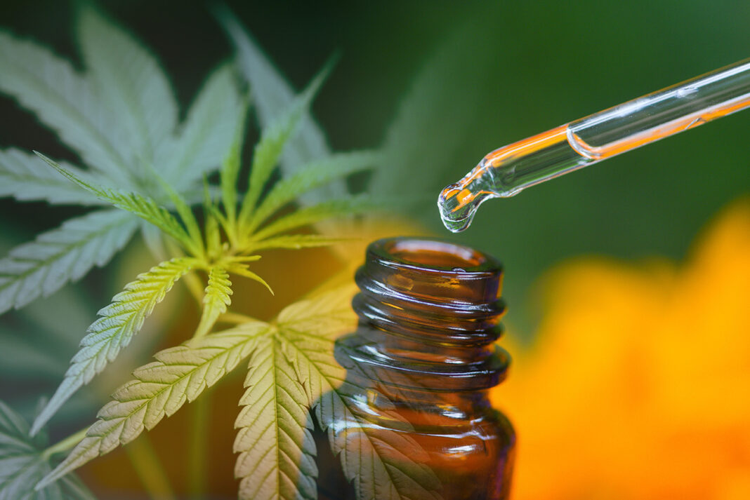 httpswww.upscalelivingmag.comnewshow-high-end-cannabis-is-revolutionizing-the-industry