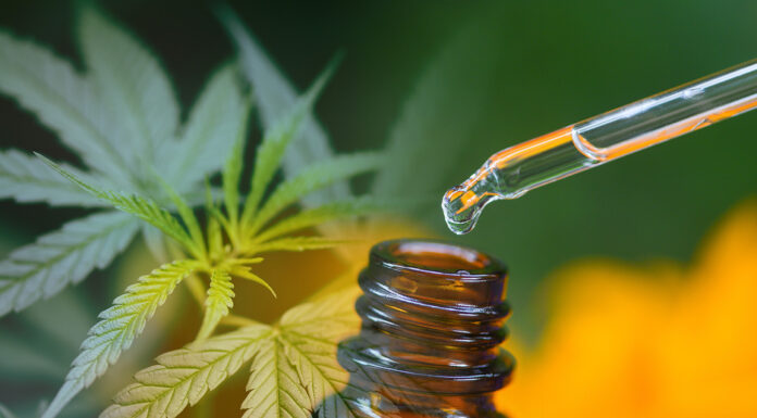 How High-End Cannabis is Revolutionizing the Industry httpswww.upscalelivingmag.comnewshow-high-end-cannabis-is-revolutionizing-the-industry