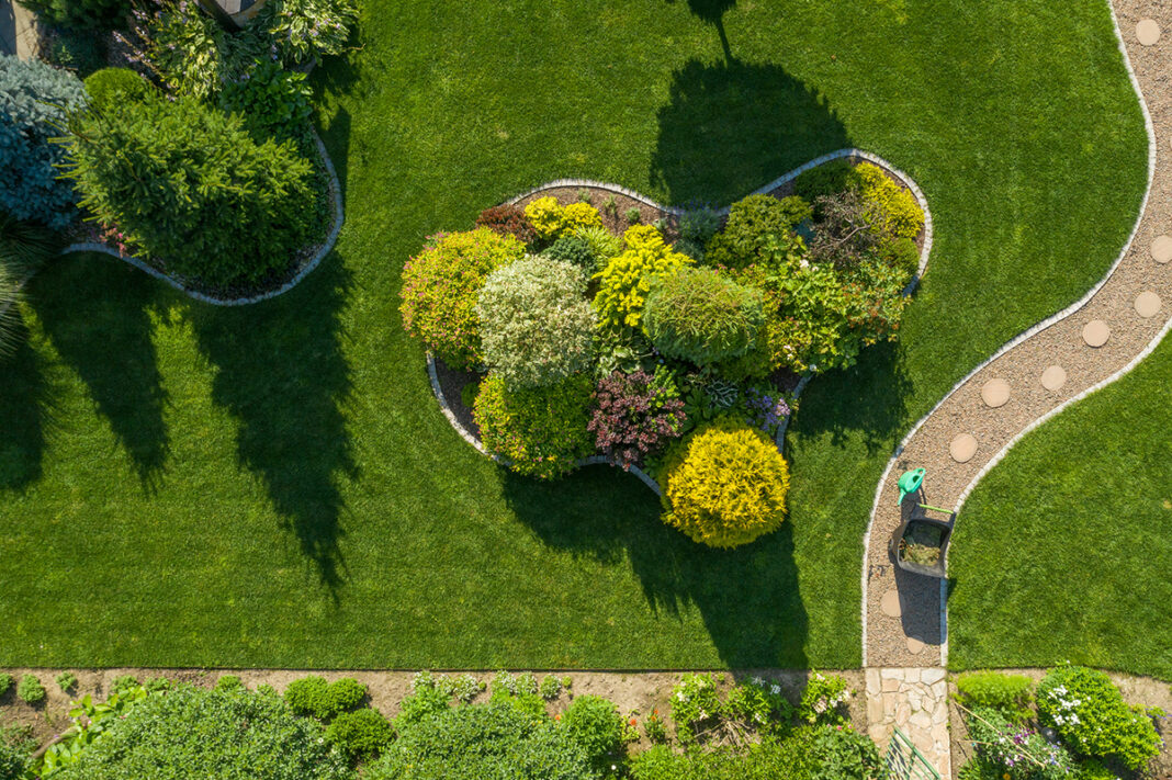Landscaping your backyard