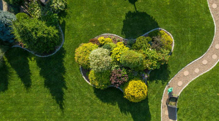 Things to Keep in Mind Before Landscaping Landscaping your backyard