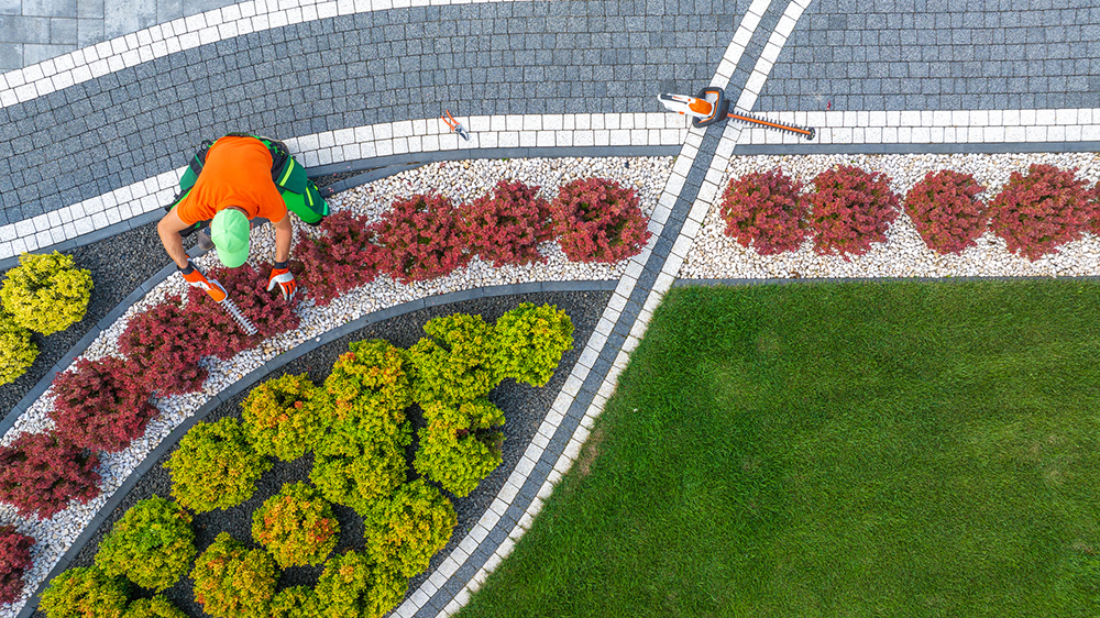 Aerial View of Garden Worker Pruning Small Driveway Area Plants. Landscaping Industry Theme.