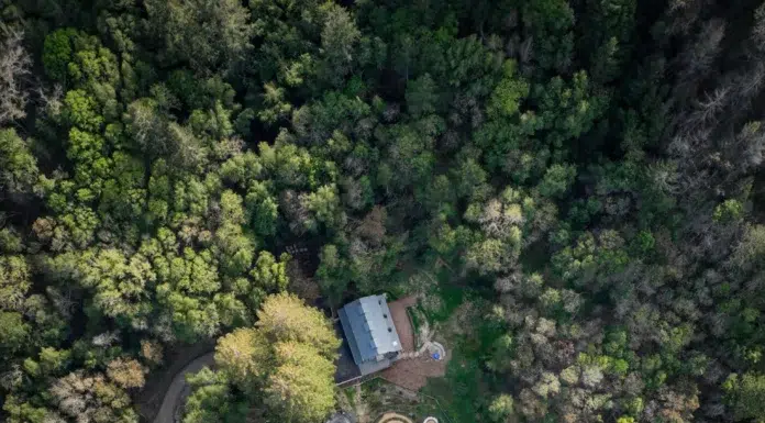 NewTree Ranch, A Luxury Plant-Based Retreat in Sonoma County Aerial view of the beautiful NewTree Ranch