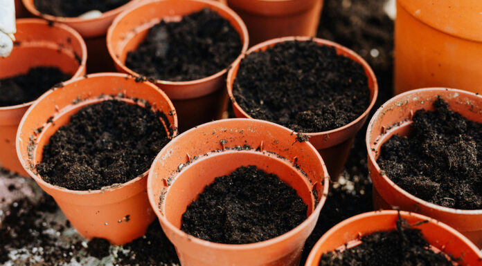 Gardening Tips: How To Prepare Your Garden For Weather Changes Gardening Tips. Photo via pexels by Karolina Grabowska
