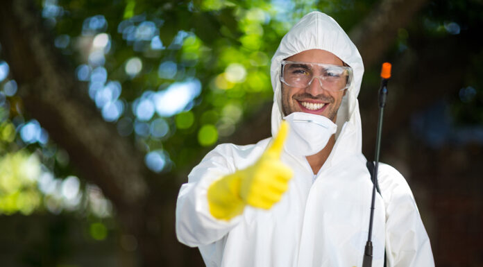 Top Tips To Get Rid Of Pests From Your House Pest Control for your home when you need it. Photos via Adobe Free Stock Images