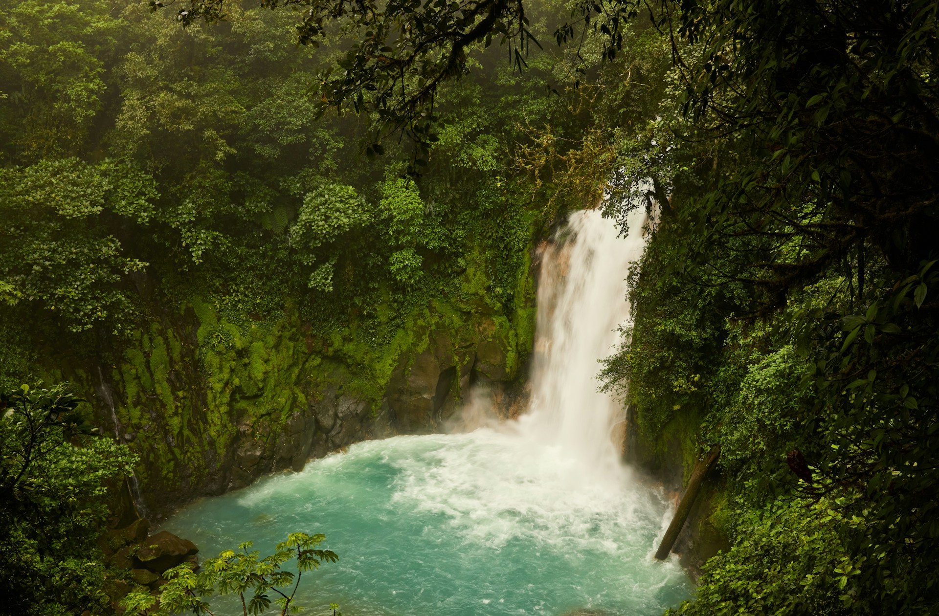 Costa Rica beautiful waterfalls. Image by Zdenek Machacek via unsplash