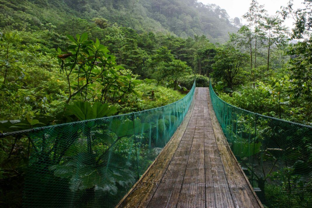 Costa Rica hanging bridge. Image by Christina Victoria Craft via Unsplash