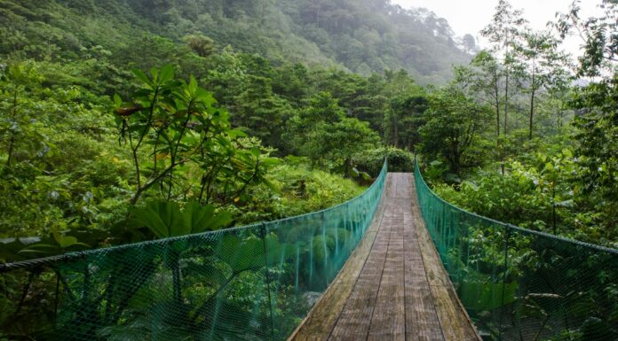 5 Amazing Alternative Luxury Family Holidays Costa Rica hanging bridge. Image by Christina Victoria Craft via Unsplash