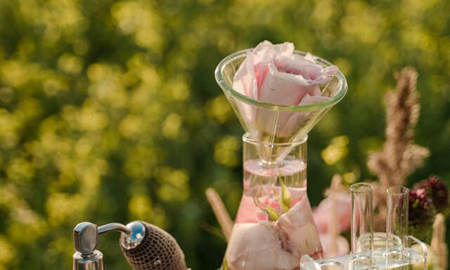 Purse Perfume Sprays, A World of Fragrance in Your Pocket Beautiful Purse Perfumes