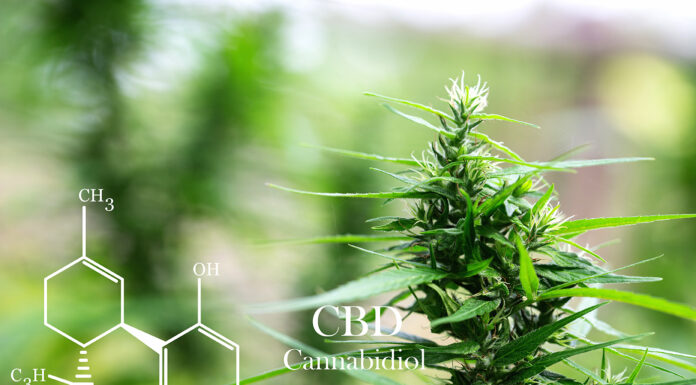 Are Hemp and Cannabis the Same? https://www.upscalelivingmag.com/news/are-hemp-and-cannabis-the-same/