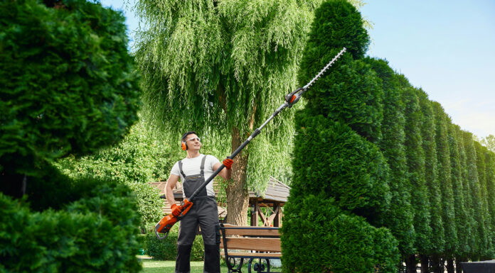 What Time Of The Year Is Perfect For Hiring Landscapers Hiring a landscapers for your backyard. Photo by Getty images via unsplash