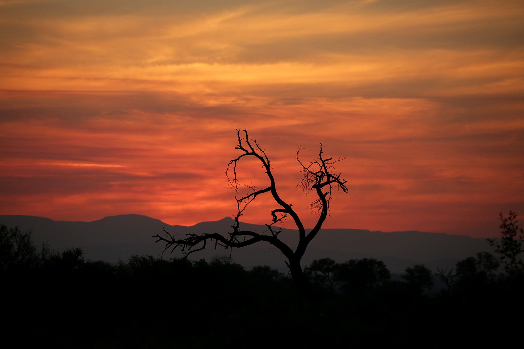Sunsets in the Kruger National Park are simply incredible. Photo by Heléne Ramackers Sunsets in the Kruger National Park are simply incredible. Photo by Heléne Ramackers