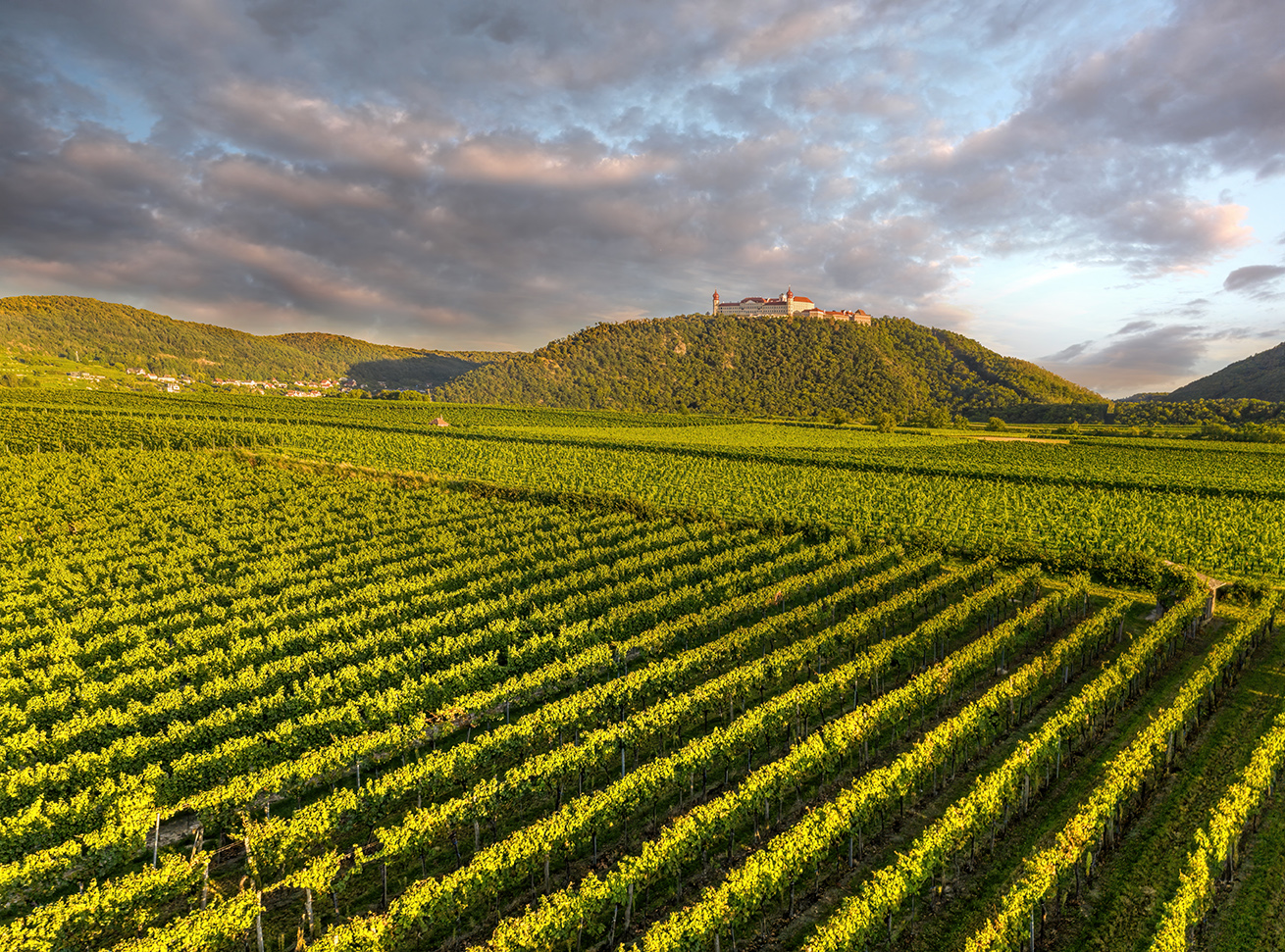 Church of monastery Goettweig at sunset near Krems against vineyards in Lower Austria, Wachau, Austria. Photo by Tomas Marek Church of monastery Goettweig at sunset near Krems against vineyards in Lower Austria, Wachau, Austria. Photo by Tomas Marek