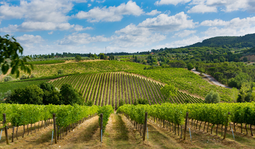 Typical hills of Tuscany, as seen from Montepulciano. Photo by Barmalini via adobe
