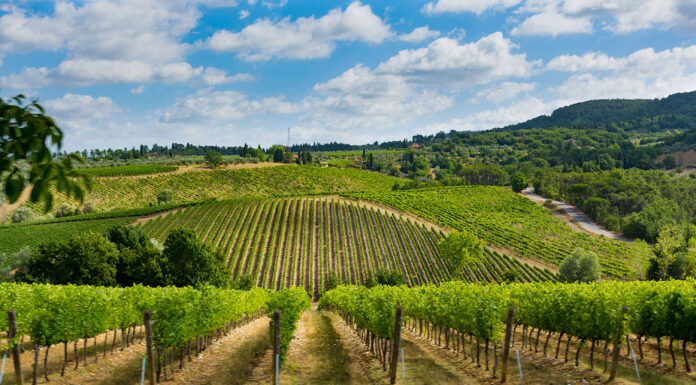 6 Hottest Destinations for Wine Tourists in 2021 Typical hills of Tuscany, as seen from Montepulciano. Photo by Barmalini via adobe